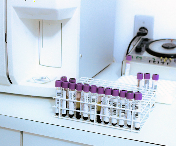 Moderne Labordiagnostik in der Praxis Alexander Gosselk in Vögelsen bei Lüneburg