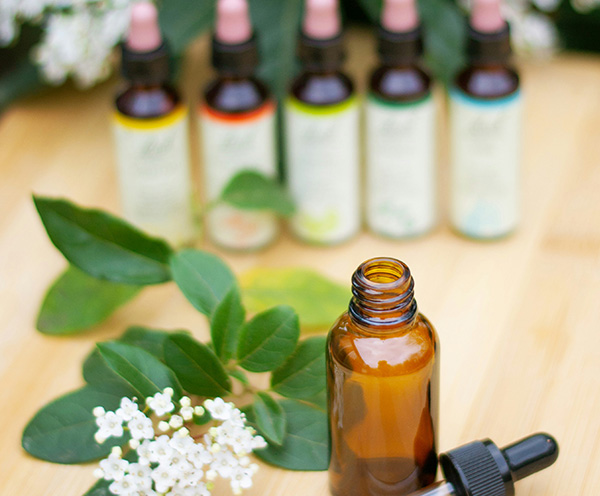 Phytotherapie und Pflanzenheilkunde in der Praxis Alexander Gosselk in Vögelsen bei Lüneburg